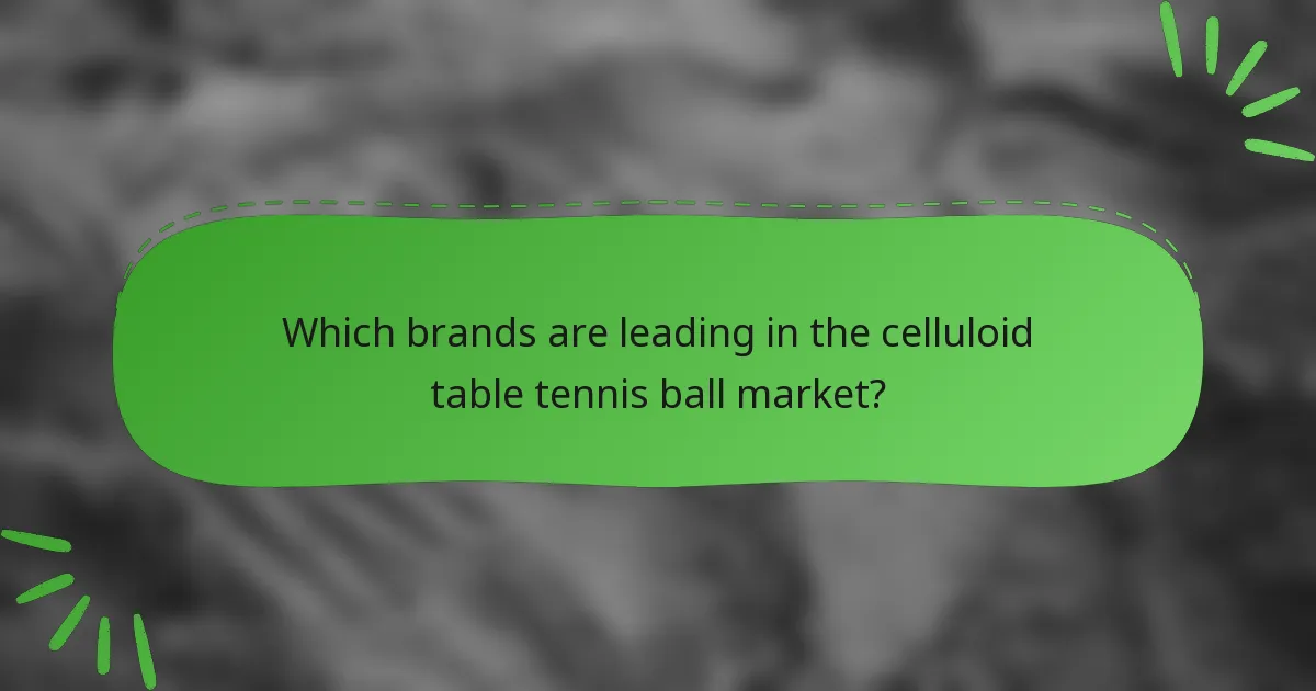 Which brands are leading in the celluloid table tennis ball market?
